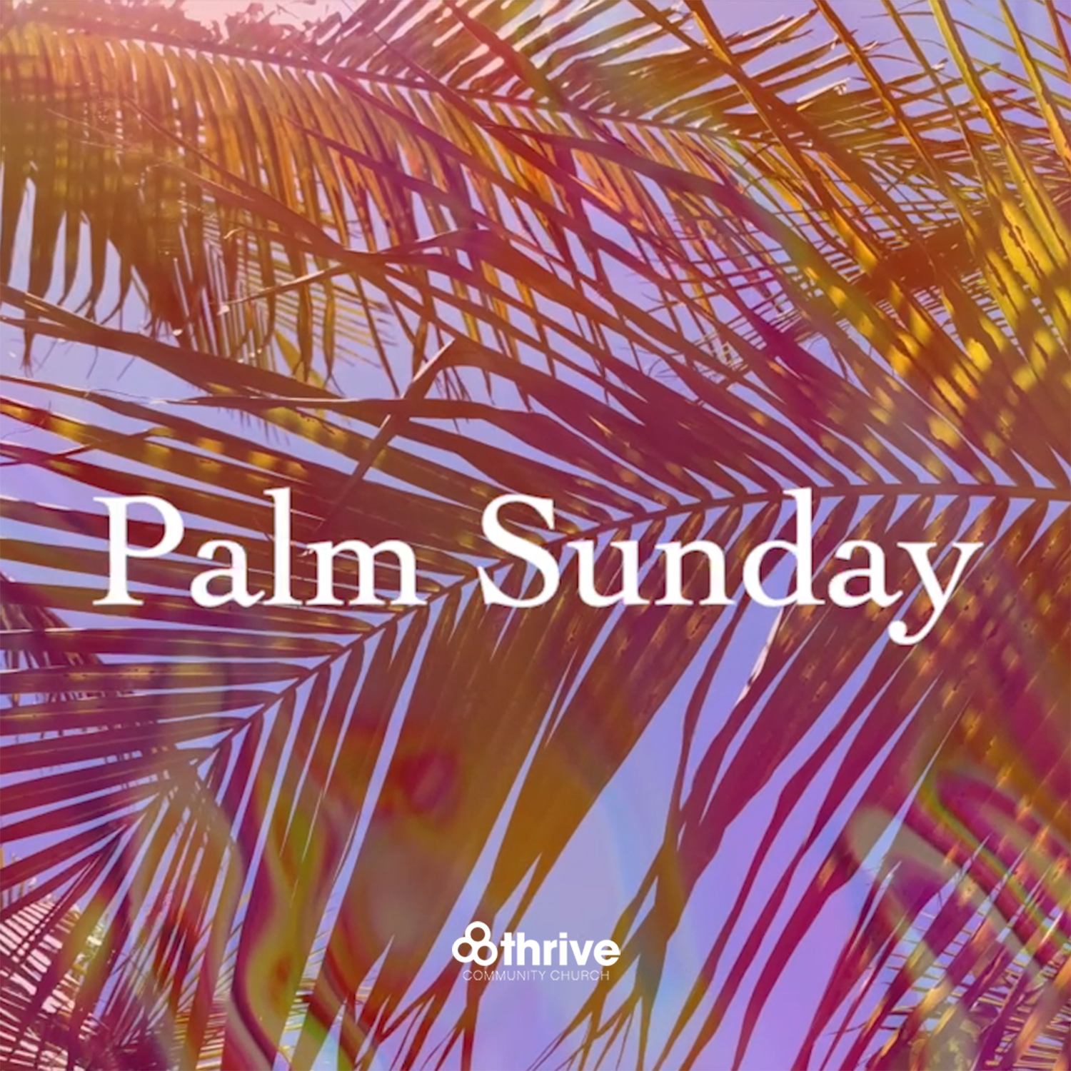 A Table In The Wilderness - Week 5 | Palm Sunday 2026 episode artwork